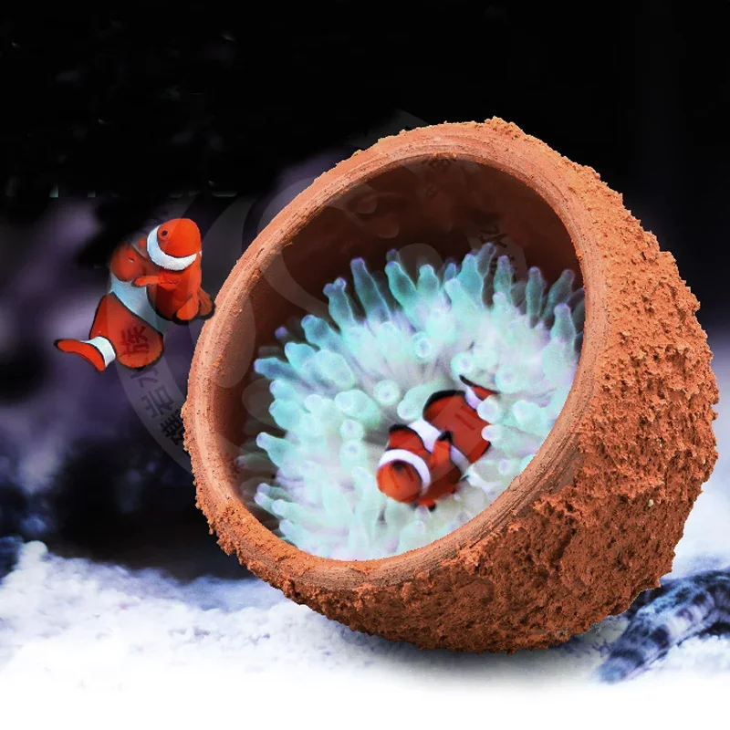 Planted Aquarium With Rocks - Anemone Nest Prevent Running Away Clay