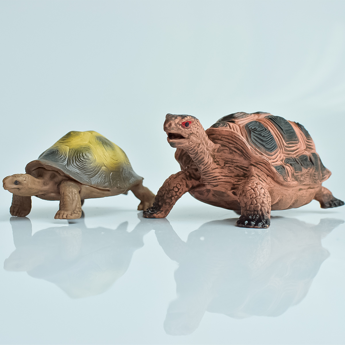 Aquarium Planted Tank - Painted Realistic Animal Turtle | Aquatic