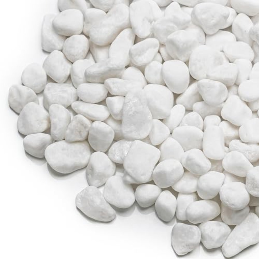 Planted Aquarium With Rocks - 18lb Pebbles1/5