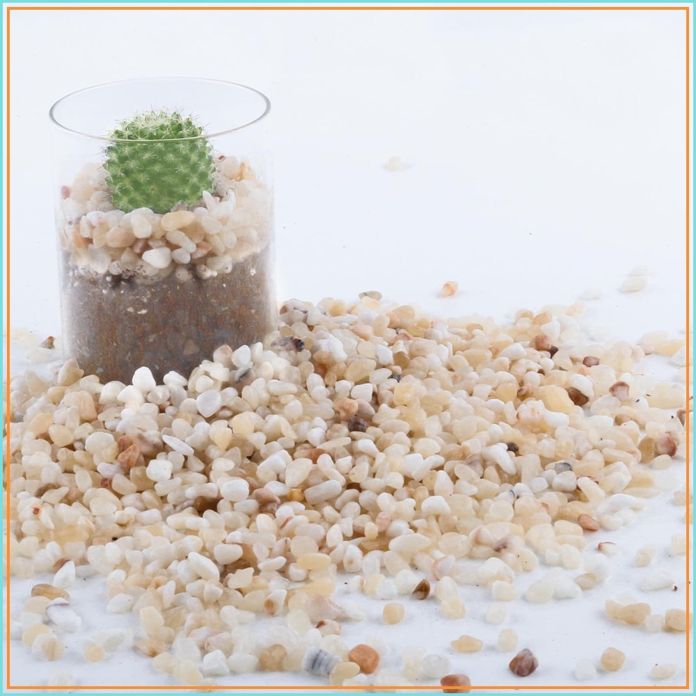Planted Aquarium With Rocks - 2.4lb Natural River Rocks for Plants,