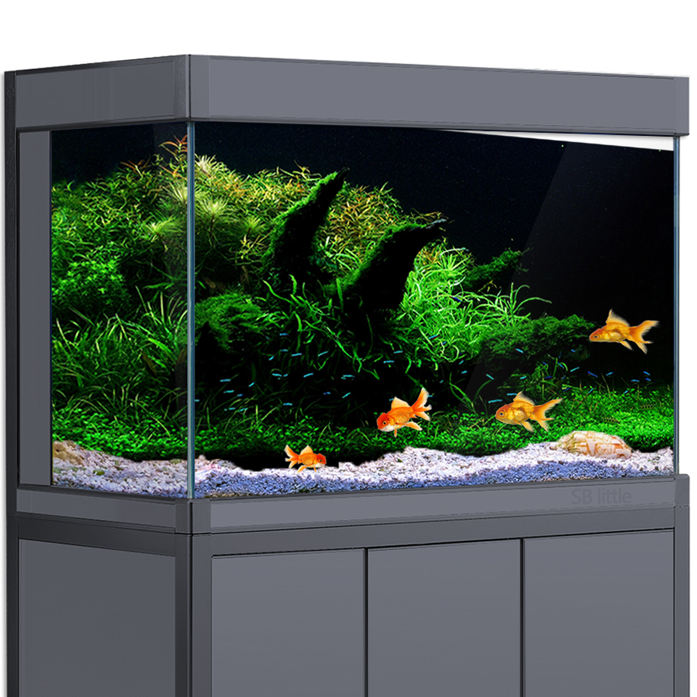Aquarium Planted Background - Aquarium Background Fish Tank Aquatic Plant