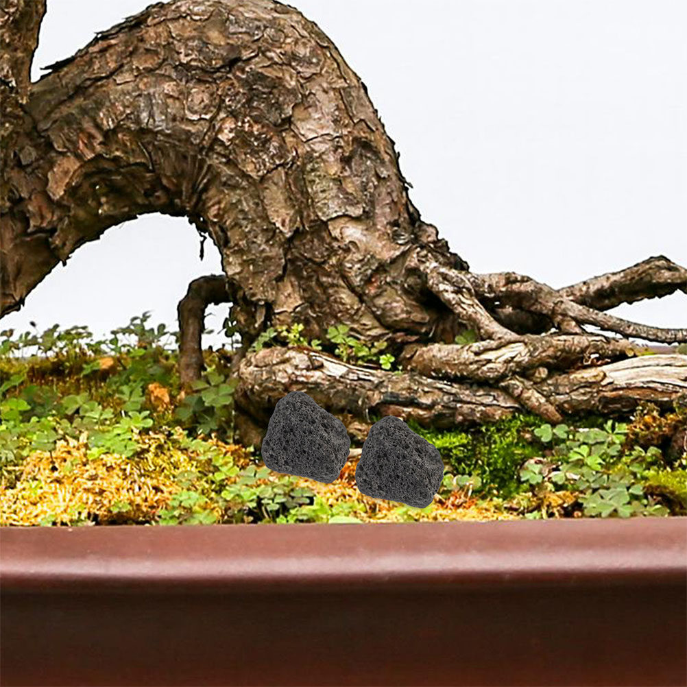 Planted Aquarium With Rocks - 1 Bag Volcanic Stone Ornament Set