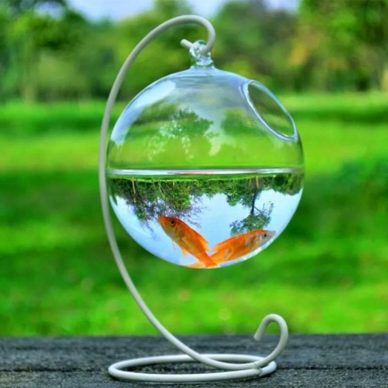 Planted Aquarium Bowl - Transparent Spherical Glass Handmade Fish for