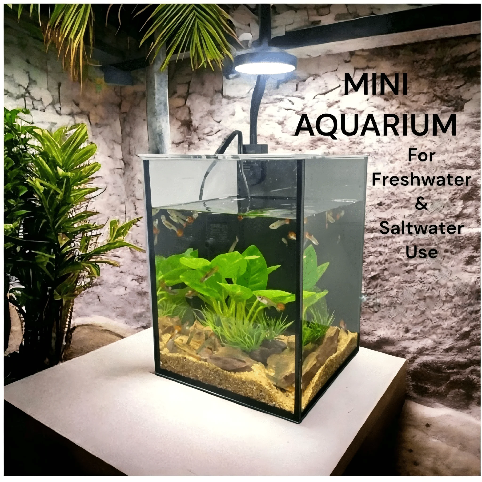 Planted Aquarium Without Fish - KEEHOME Mini Aquarium Set Fish Tank