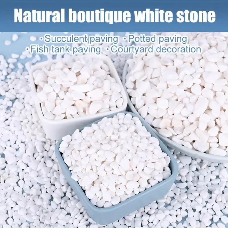 Planted Aquarium With Rocks - 500g/1.1LB Decorative White Pebble Stones for