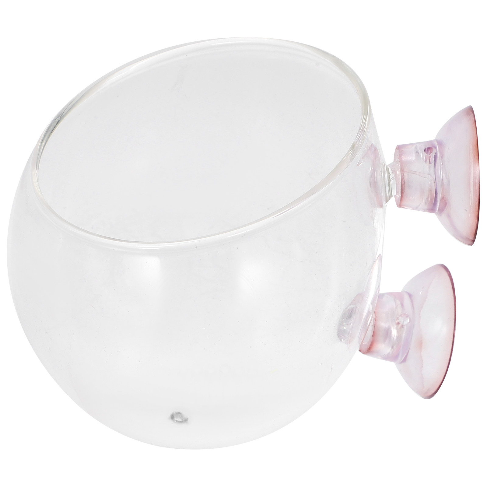 Planted Aquarium Bowl - Mini Aquatic Plant Pot Transparent 6.5x6.5x6cm