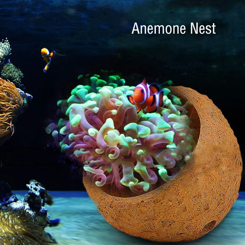 Anemone Nest Prevent Running A - مراجعة Planted Aquarium With Rocks وسعره