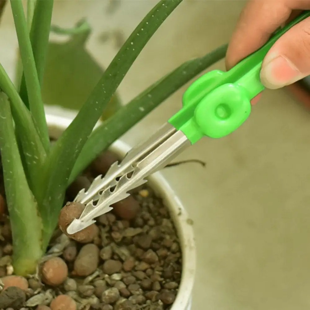 Outdoor Garden Weeding Clip Ga - مراجعة Planted Clip Tweezers وسعره