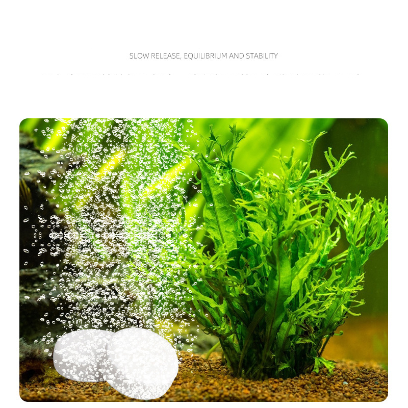 ISTA  Fish Tank Aquarium CO2 T - مراجعة Planted Aquarium Without Fish وسعره