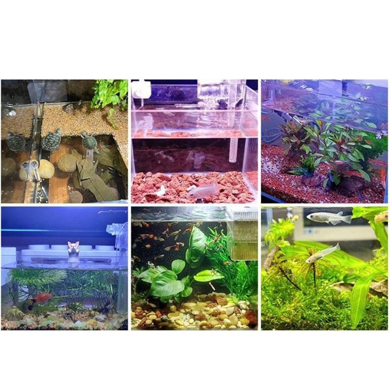 Small Aquarium Fish Bowl LED L - مراجعة Planted Aquarium Bowl وسعره