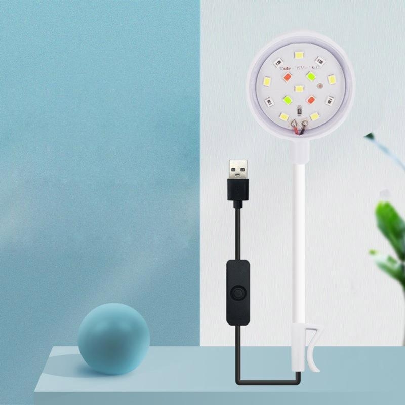 Small Aquarium Fish Bowl LED L - مراجعة Planted Aquarium Bowl وسعره
