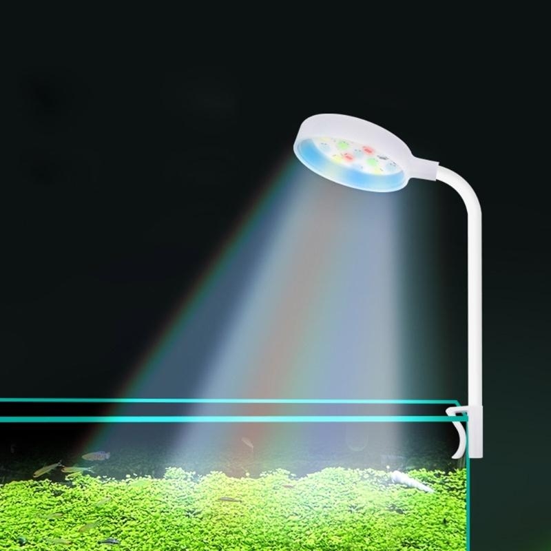 Small Aquarium Fish Bowl LED L - مراجعة Planted Aquarium Bowl وسعره