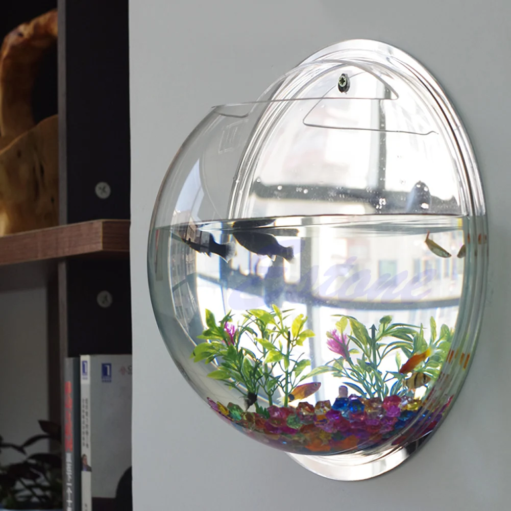 Wall Mounted Acrylic Fish Bowl - مراجعة Planted Aquarium Bowl وسعره