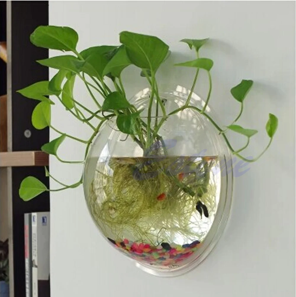 Wall Mounted Acrylic Fish Bowl - مراجعة Planted Aquarium Bowl وسعره
