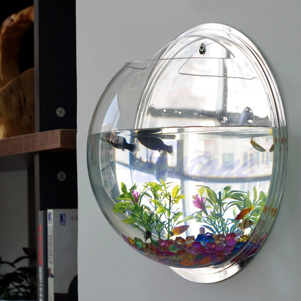 Wall Mounted Acrylic Fish Bowl - مراجعة Planted Aquarium Bowl وسعره