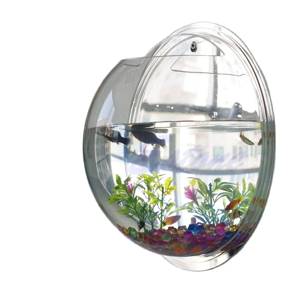 Wall Mounted Acrylic Fish Bowl - مراجعة Planted Aquarium Bowl وسعره