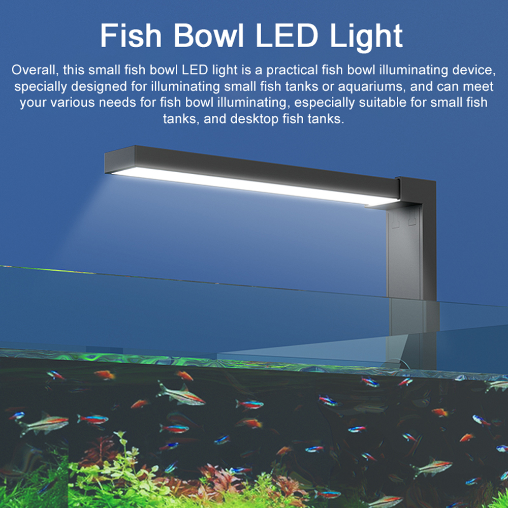ABS Small Fish Bowl LED Light  - مراجعة Planted Aquarium Bowl وسعره