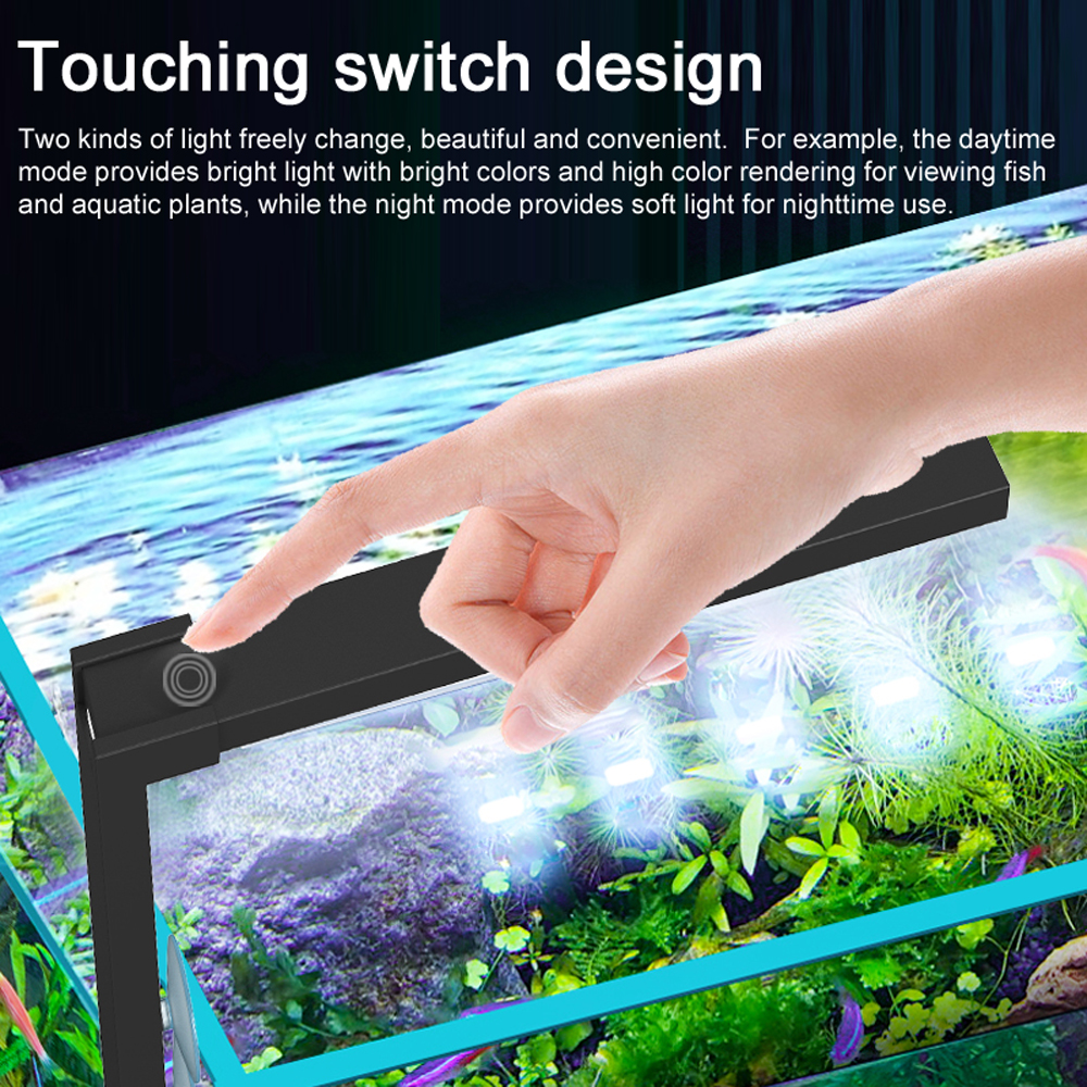 ABS Small Fish Bowl LED Light  - مراجعة Planted Aquarium Bowl وسعره