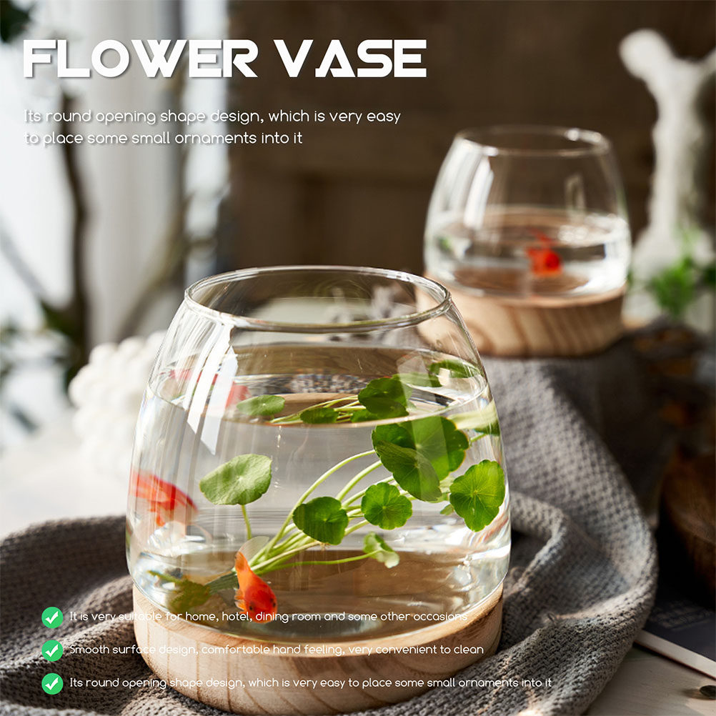 1Set Premium Glass Hydroponic  - مراجعة Planted Aquarium Bowl وسعره