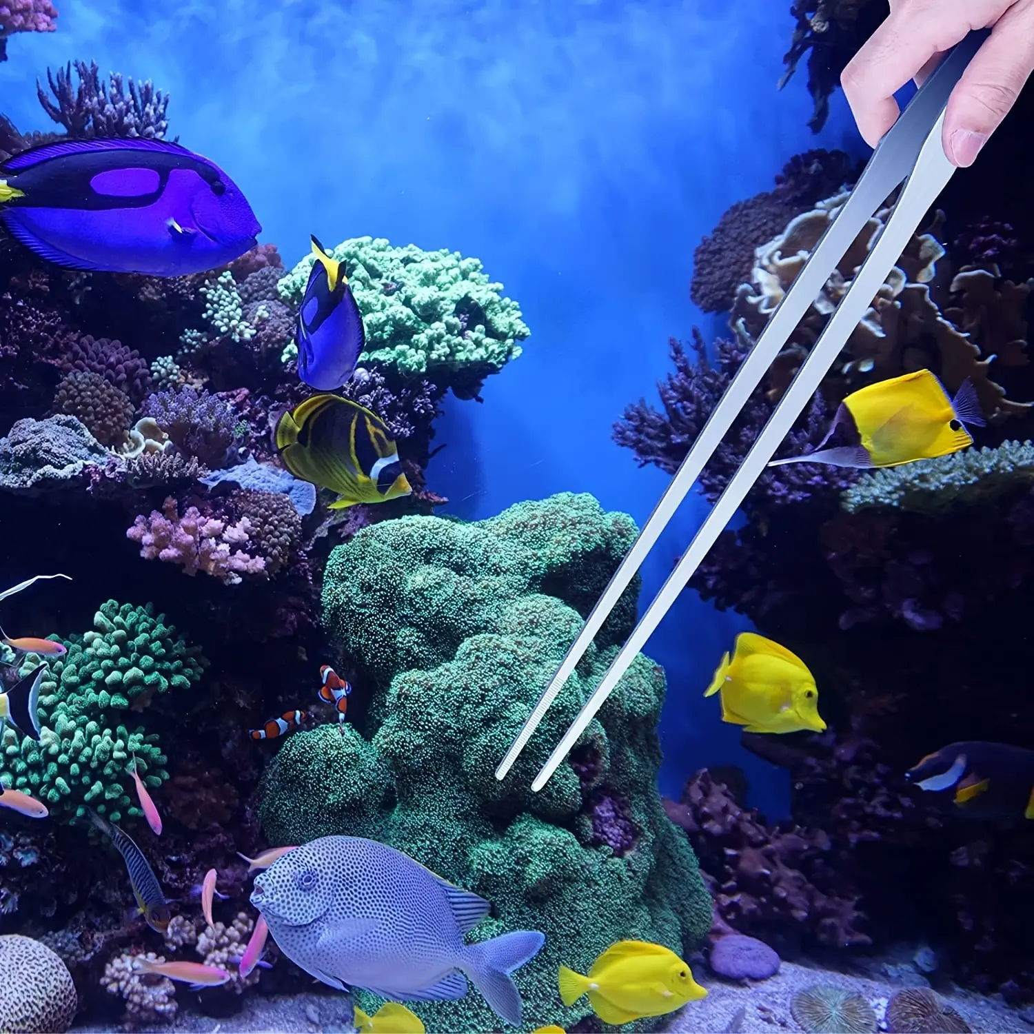 38cm Stainless Steel Aquarium  - مراجعة Planted Clip Tweezers وسعره