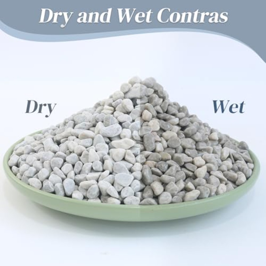 45LB Succulent Rocks, 1/4 Inch - مراجعة Planted Aquarium With Rocks وسعره