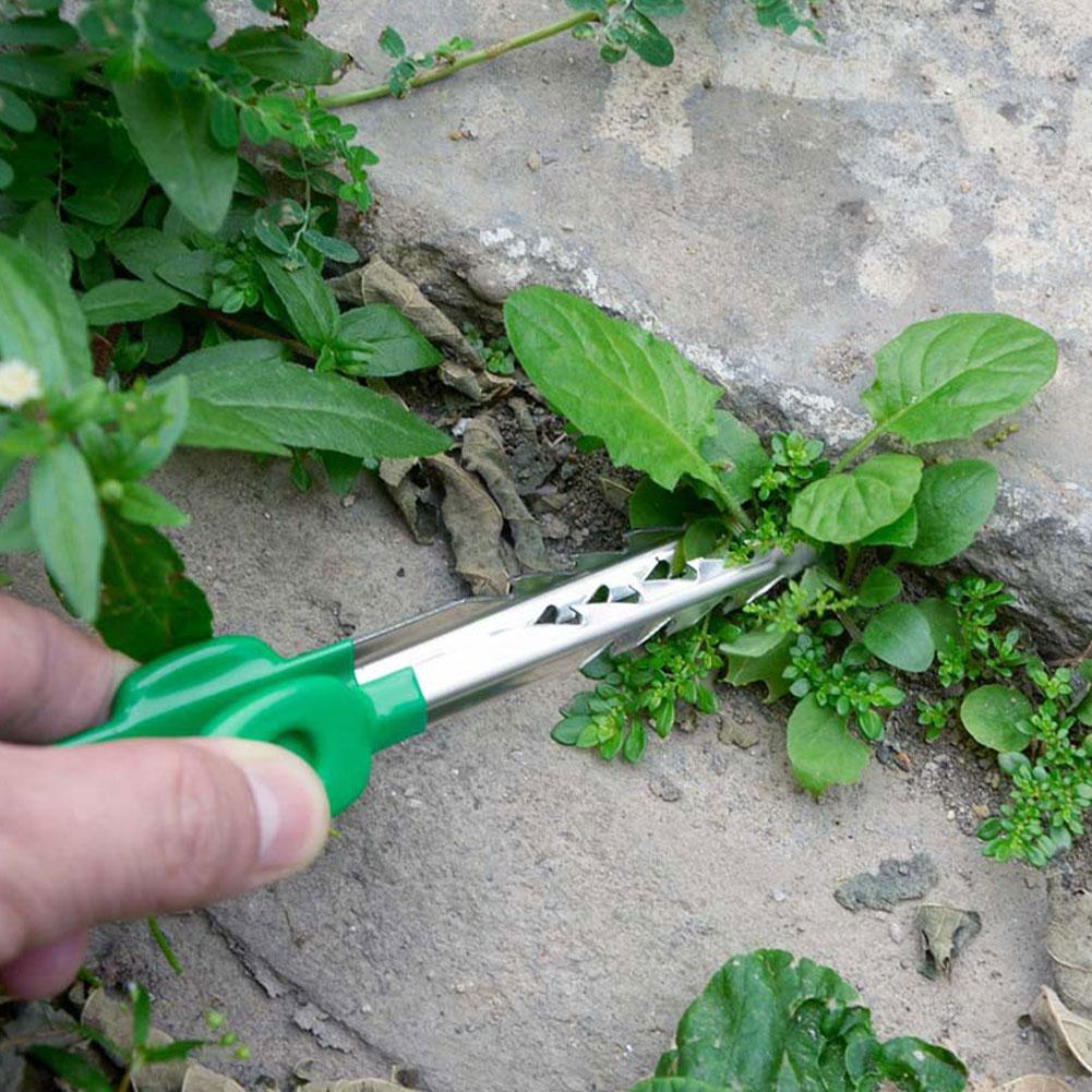 Outdoor Garden Weeding Clip Ga - مراجعة Planted Clip Tweezers وسعره