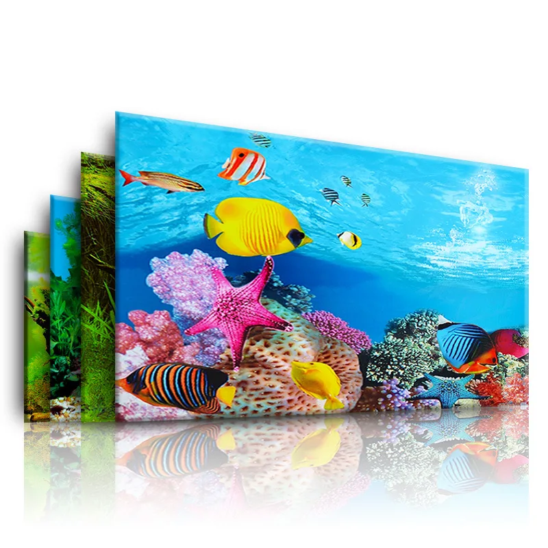 Background for Aquarium 3d  St - مراجعة Aquarium Planted Background وسعره