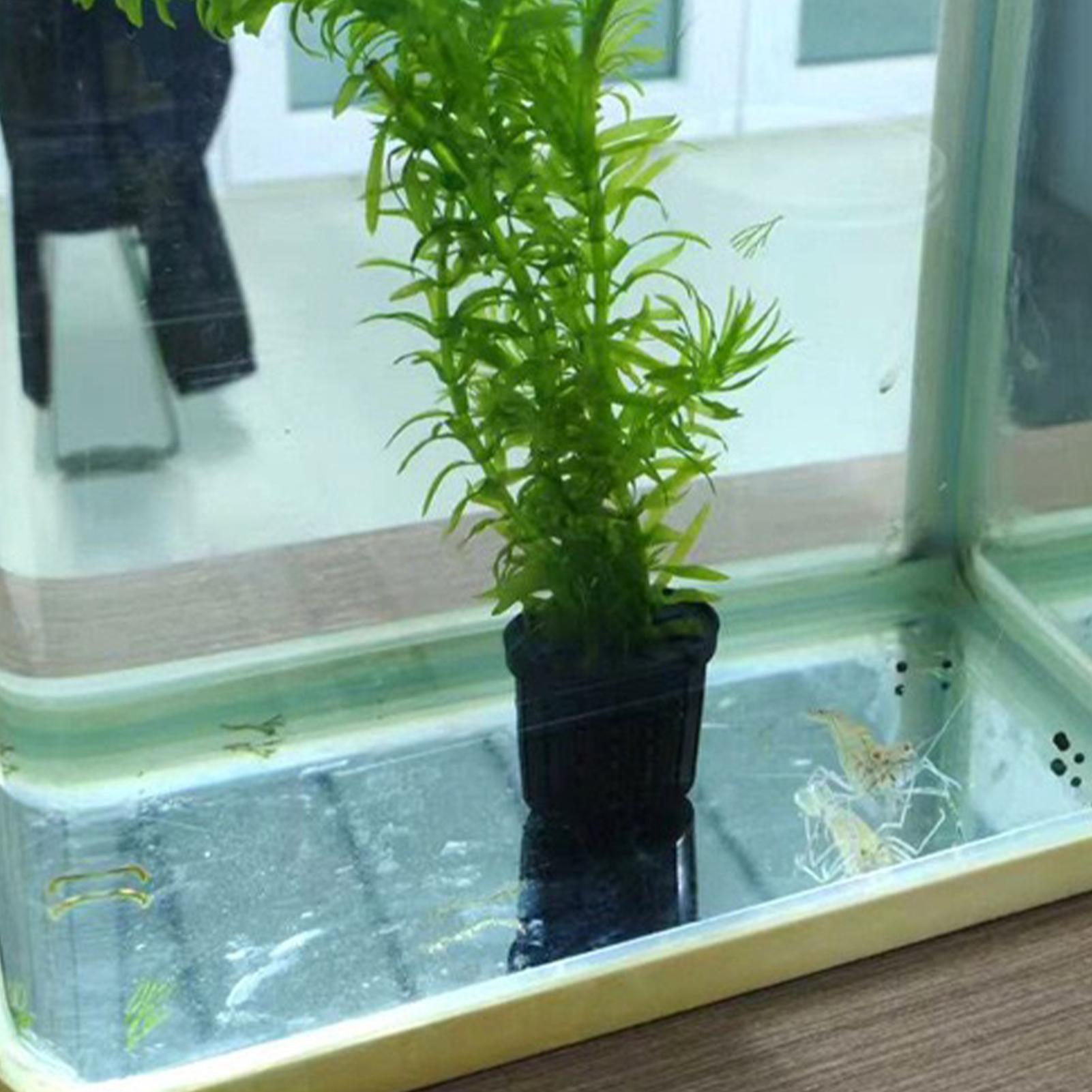 4 Pieces Hydroponic Plant Bask - مراجعة Aquarium Planted Background وسعره