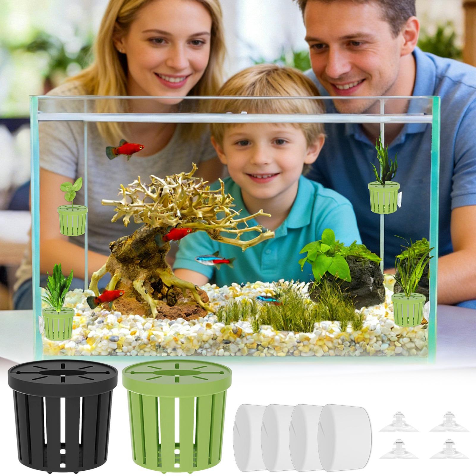 4 Pieces Hydroponic Plant Bask - مراجعة Aquarium Planted Background وسعره