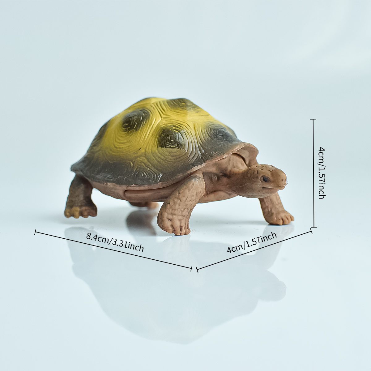 Painted Realistic Animal Turtl - مراجعة Aquarium Planted Tank وسعره