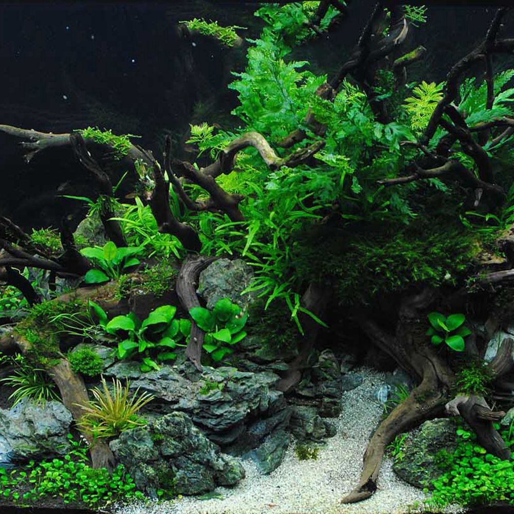 N1N Wood Reptile Tank Backgrou - مراجعة Aquarium Planted Background وسعره
