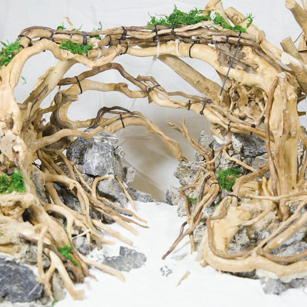 N1N Wood Reptile Tank Backgrou - مراجعة Aquarium Planted Background وسعره