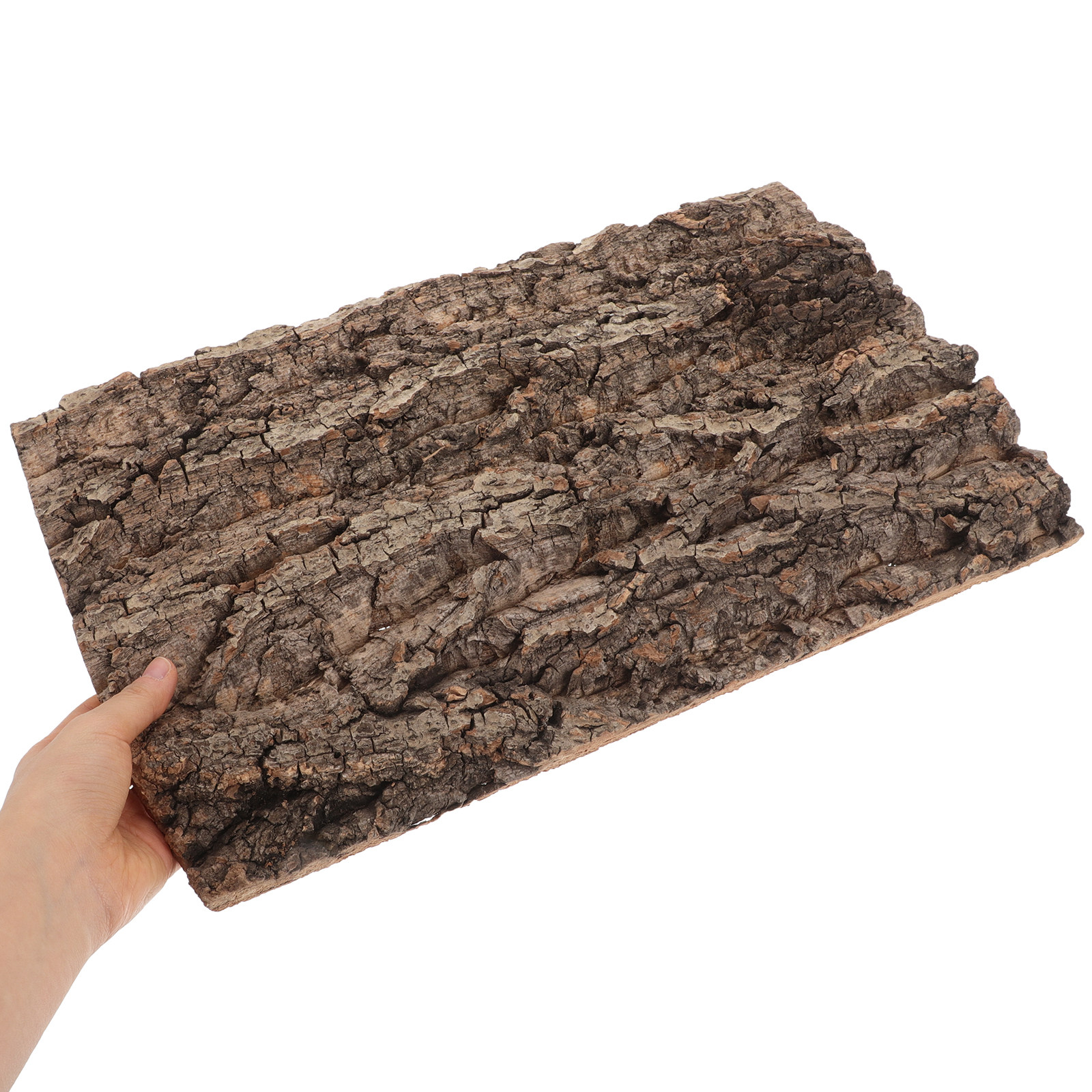 Natural Cork Bark Background B - مراجعة Aquarium Planted Background وسعره