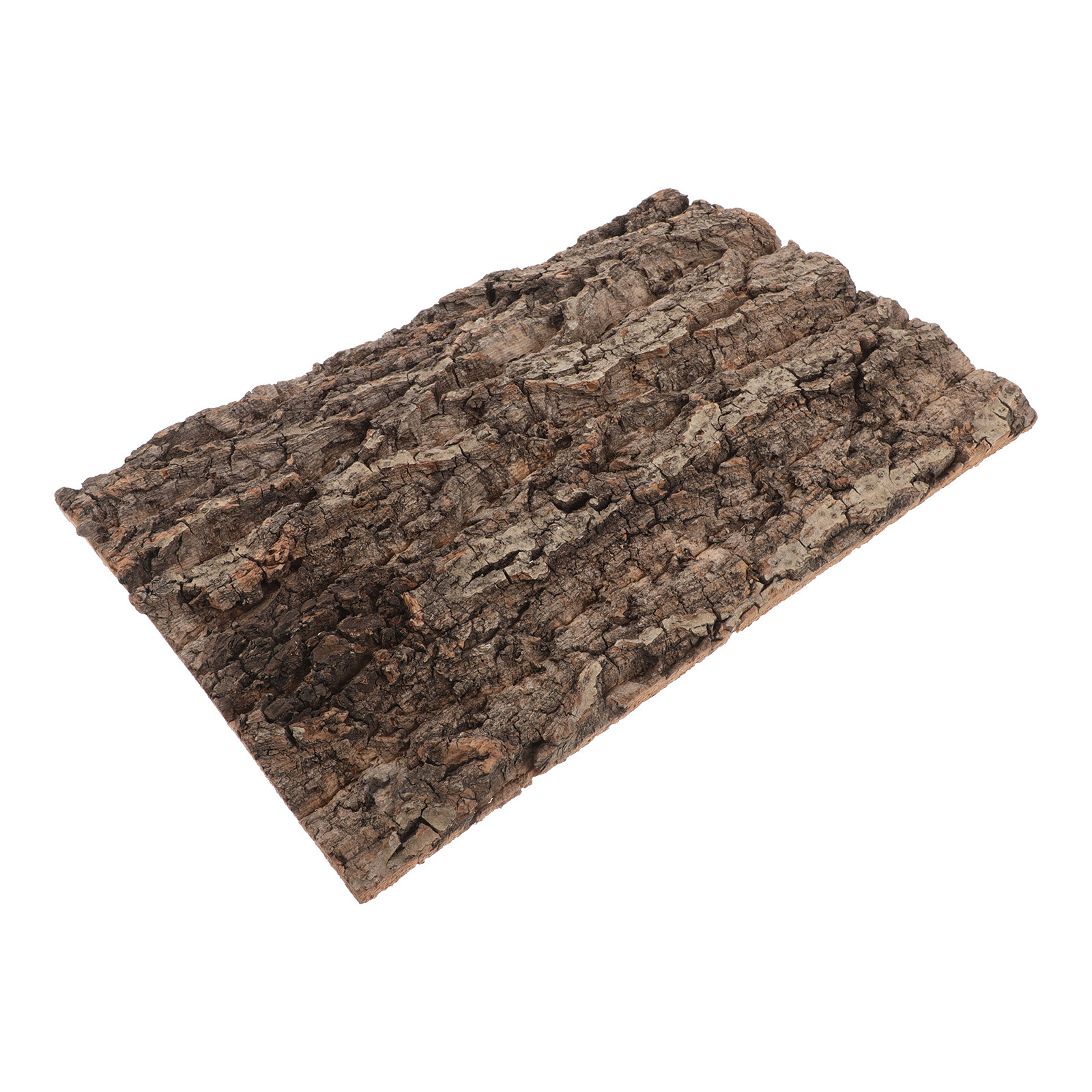 Natural Cork Bark Background B - مراجعة Aquarium Planted Background وسعره