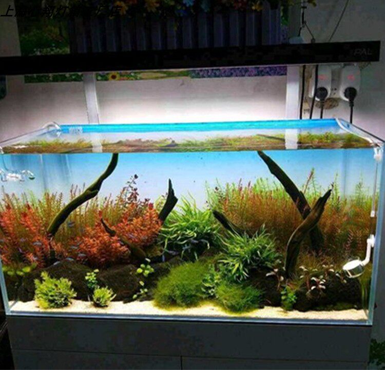 Custom LED Aquarium Background - مراجعة Aquarium Planted Background وسعره