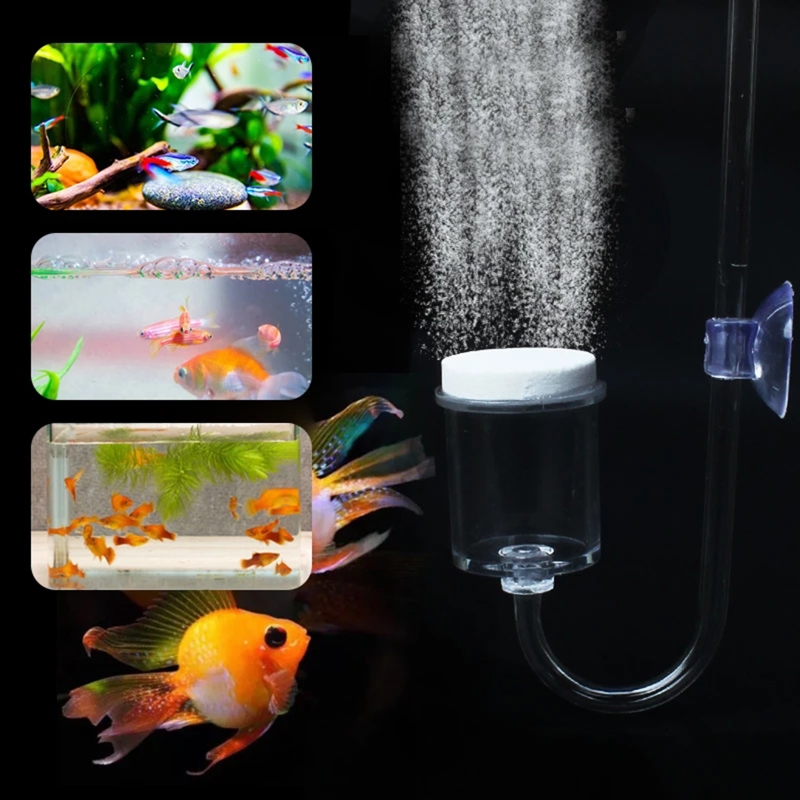 4pcs Set DIY CO2 Diffuser For  - مراجعة Aquarium Plant Vine وسعره