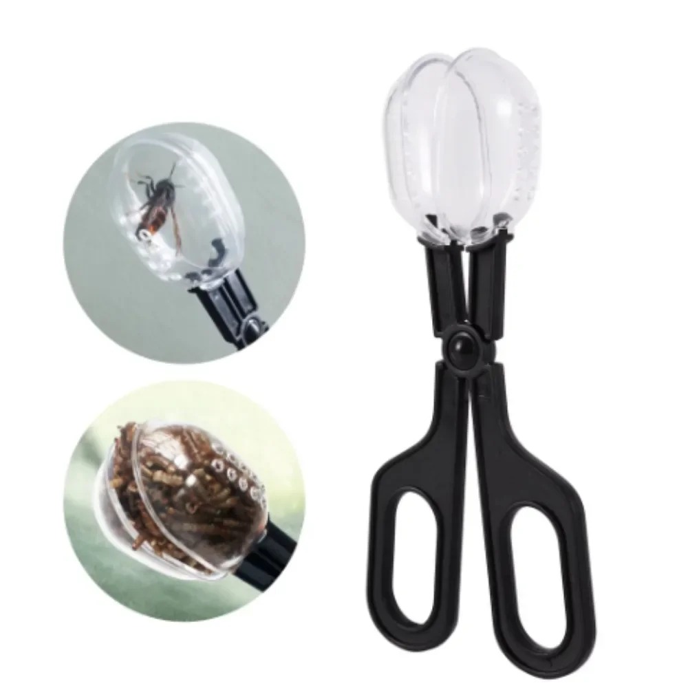 1PCS Pet Raising Feeding Tool  - مراجعة Planted Clip Tweezers وسعره