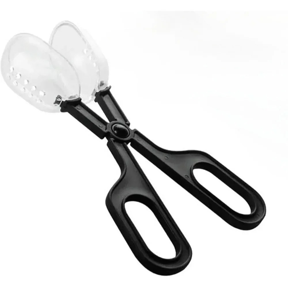 1PCS Pet Raising Feeding Tool  - مراجعة Planted Clip Tweezers وسعره