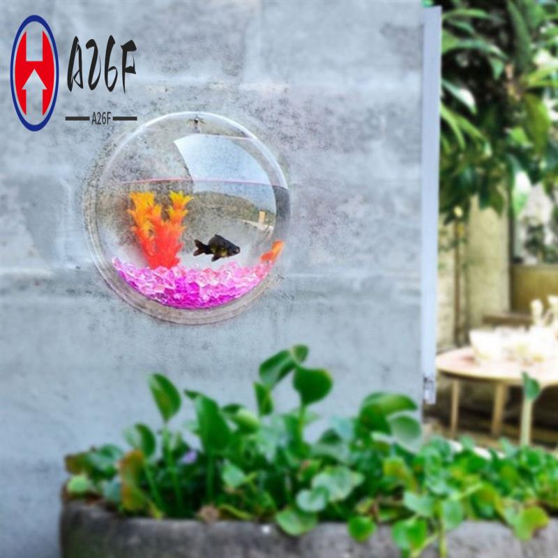 A26F-Transparent Plant Pot Wal - مراجعة Planted Aquarium Bowl وسعره