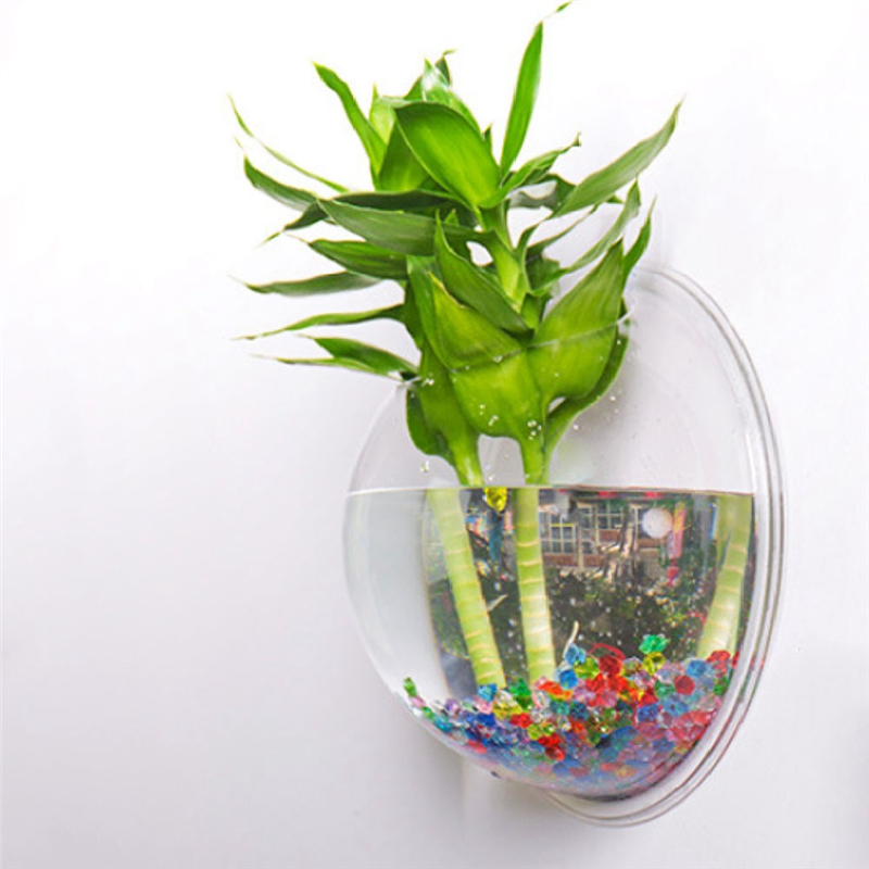 A26F-Transparent Plant Pot Wal - مراجعة Planted Aquarium Bowl وسعره