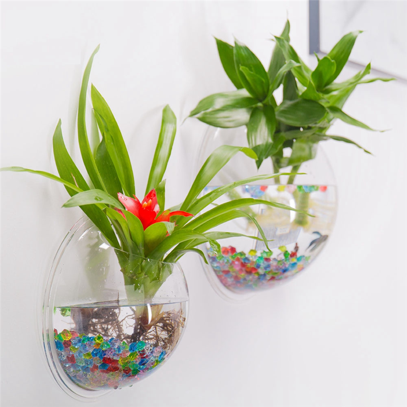 A26F-Transparent Plant Pot Wal - مراجعة Planted Aquarium Bowl وسعره
