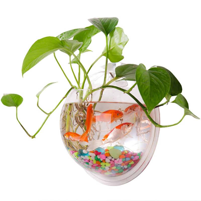 A26F-Transparent Plant Pot Wal - مراجعة Planted Aquarium Bowl وسعره