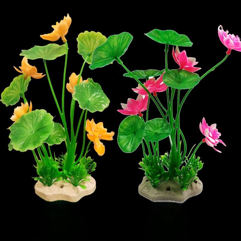 Aquarium Lacape Decoration Ro  - مراجعة Planted Aquarium Bowl وسعره