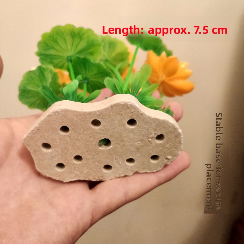 Aquarium Lacape Decoration Ro  - مراجعة Planted Aquarium Bowl وسعره