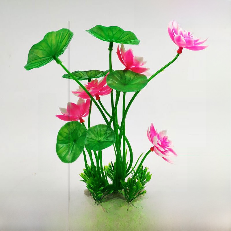 Aquarium Lacape Decoration Ro  - مراجعة Planted Aquarium Bowl وسعره