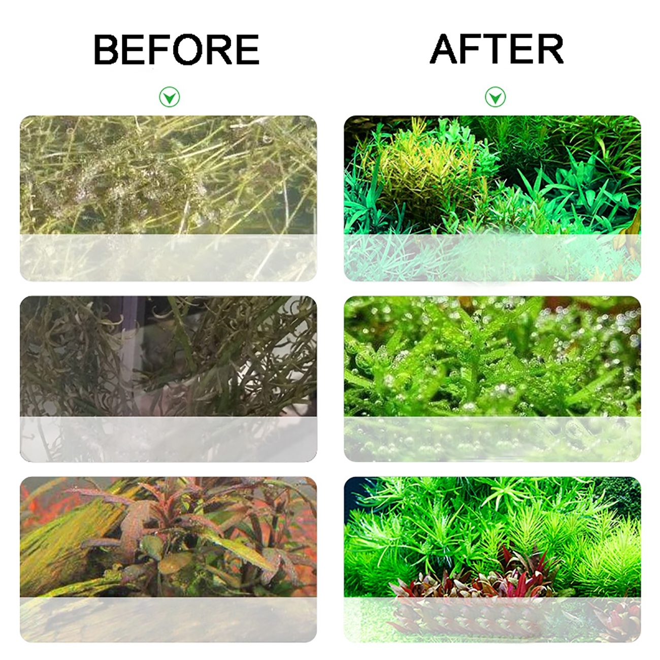 Aquarium CO2 Generator system  - مراجعة Planted Aquarium Co2 System وسعره