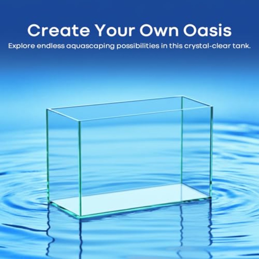 Glass Fish Tank Open-Back Lid  - مراجعة Planted Aquarium Bowl وسعره