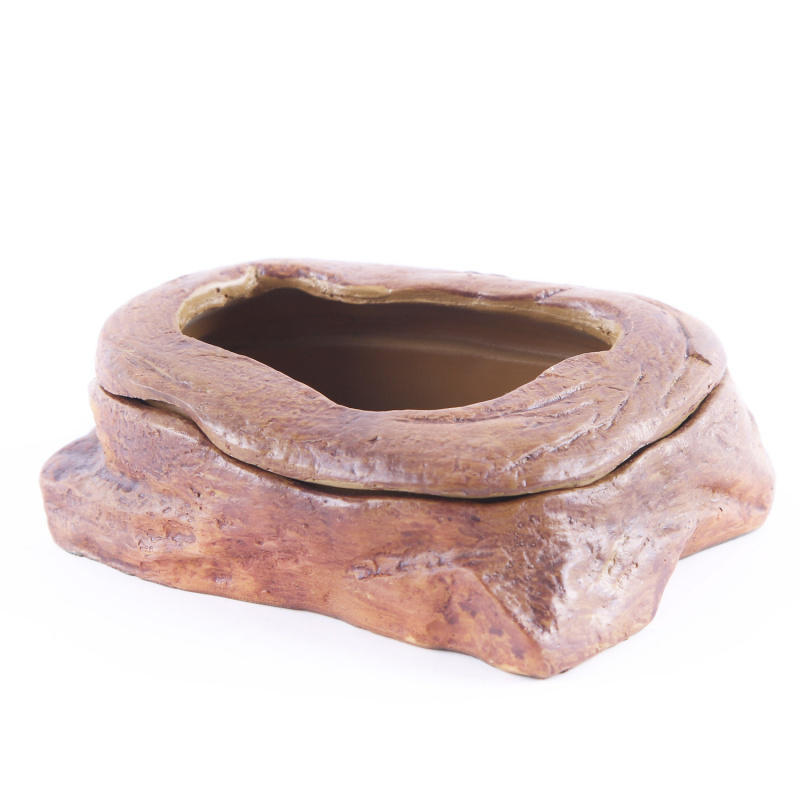 Aquarium Fish Tank Ornaments A - مراجعة Planted Aquarium Bowl وسعره
