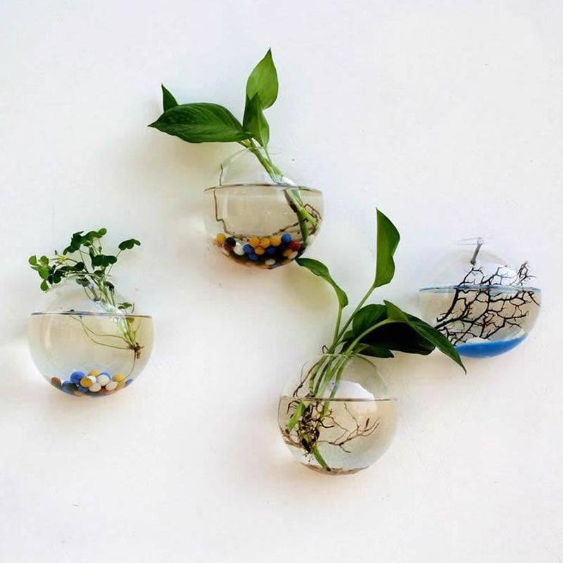Creative Wall Mounted Glass Va - مراجعة Aquarium Plant Vine وسعره