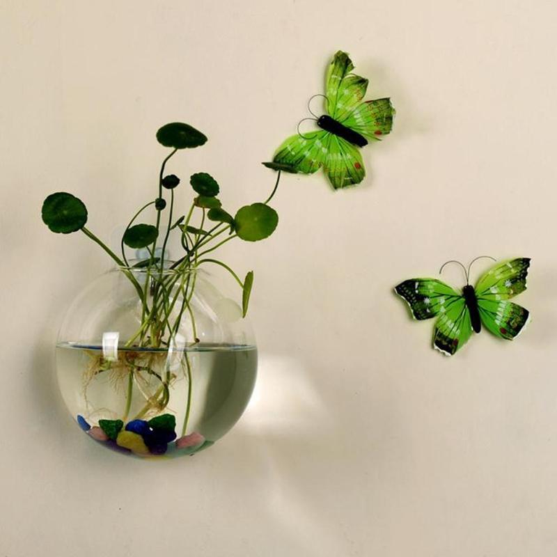 Creative Wall Mounted Glass Va - مراجعة Aquarium Plant Vine وسعره